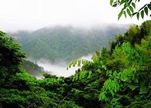 <stl:content type='title' ></stl:content>