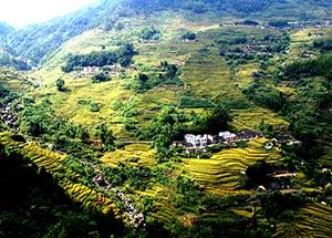 <stl:content type='title' ></stl:content>