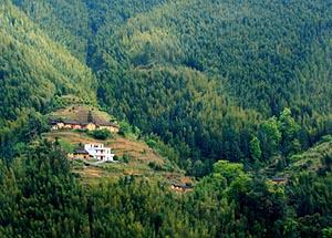 <stl:content type='title' ></stl:content>