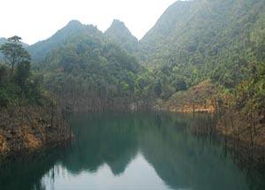 <stl:content type='title' ></stl:content>