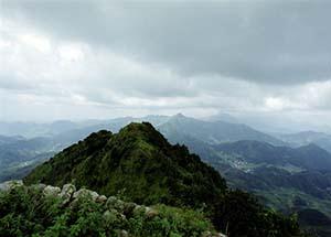 <stl:content type='title' ></stl:content>