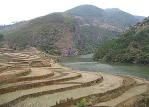 <stl:content type='title' ></stl:content>