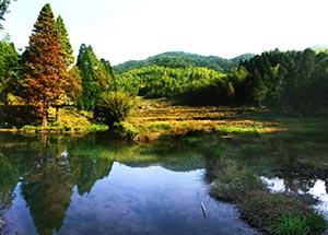 <stl:content type='title' ></stl:content>