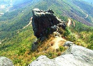 <stl:content type='title' ></stl:content>