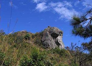 <stl:content type='title' ></stl:content>