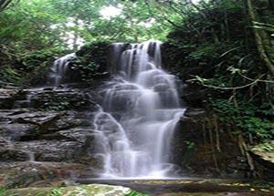 <stl:content type='title' ></stl:content>