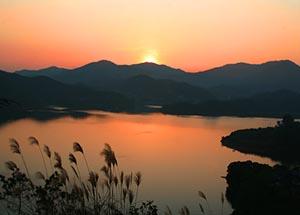 <stl:content type='title' ></stl:content>