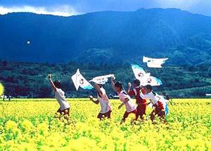 <stl:content type='title' ></stl:content>