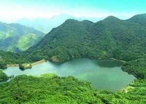 <stl:content type='title' ></stl:content>