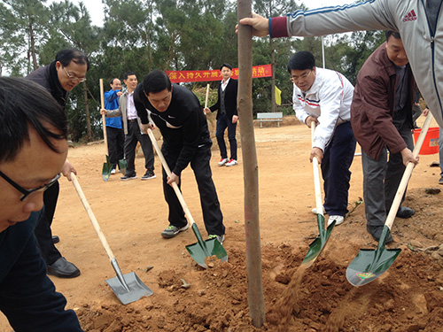 义务植树 绿化电白.jpg