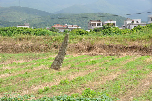 电白县文物保护之坡田石柱.jpg